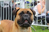 IMG_0613