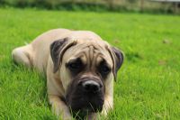 IMG_0404